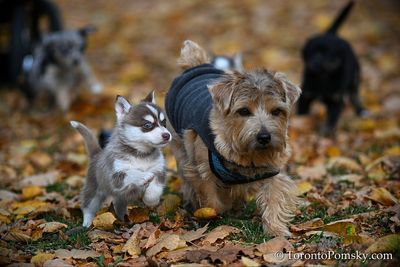 Nov14_22_533.jpg