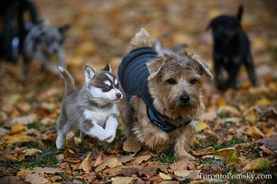 Nov14_22_534.jpg
