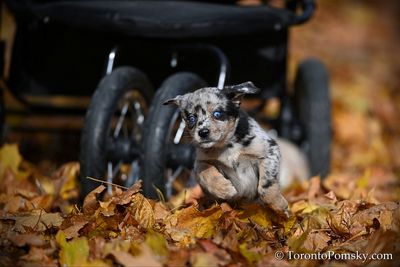 Nov14_22_370.jpg