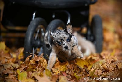 Nov14_22_371.jpg