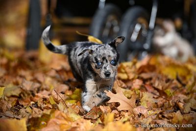 Nov14_22_373.jpg