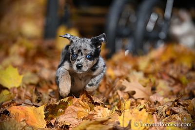 Nov14_22_374.jpg