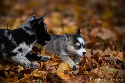Nov14_22_376.jpg
