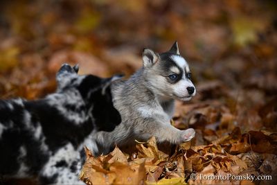 Nov14_22_378.jpg