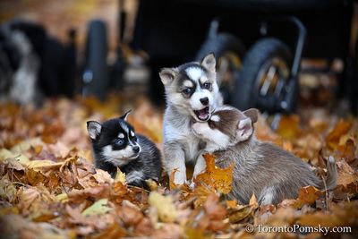 Nov14_22_380.jpg