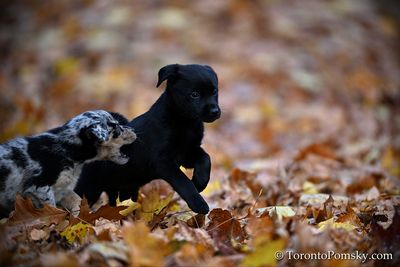 Nov14_22_381.jpg