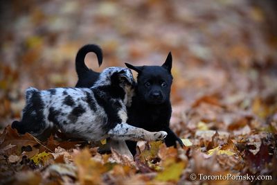 Nov14_22_382.jpg