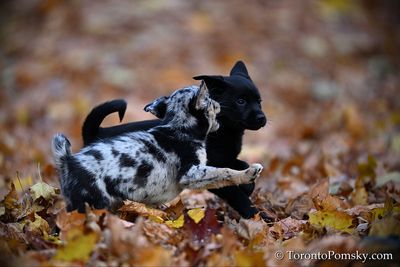 Nov14_22_383.jpg