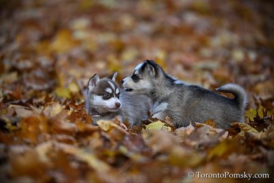Nov14_22_387.jpg