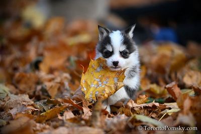 Nov14_22_389.jpg