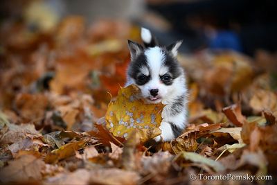 Nov14_22_390.jpg