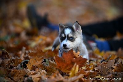 Nov14_22_391.jpg