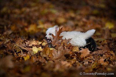 Nov14_22_392.jpg
