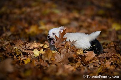 Nov14_22_393.jpg