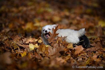 Nov14_22_394.jpg