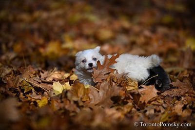 Nov14_22_396.jpg