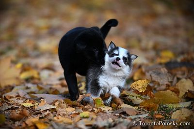 Nov14_22_397.jpg
