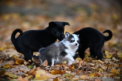 Nov14_22_398.jpg