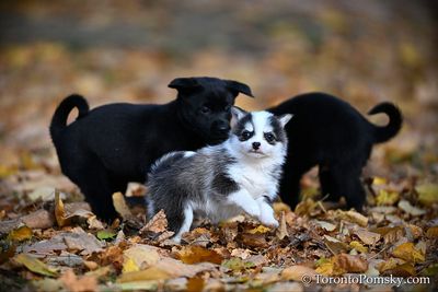Nov14_22_399.jpg