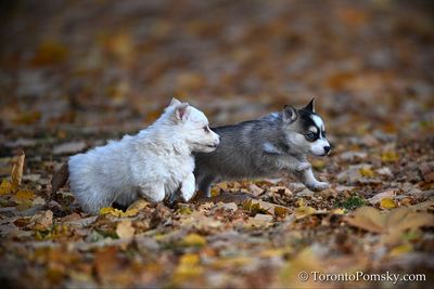 Nov14_22_401.jpg
