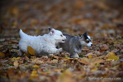 Nov14_22_403.jpg