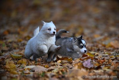 Nov14_22_407.jpg