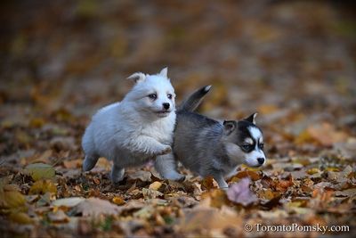 Nov14_22_408.jpg