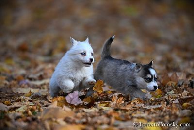 Nov14_22_409.jpg