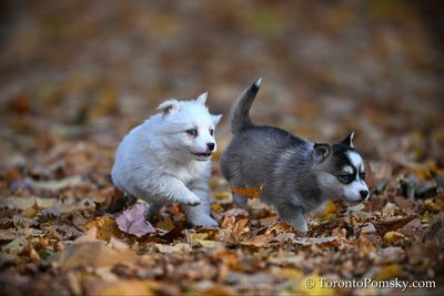 Nov14_22_410.jpg