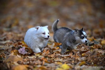 Nov14_22_411.jpg