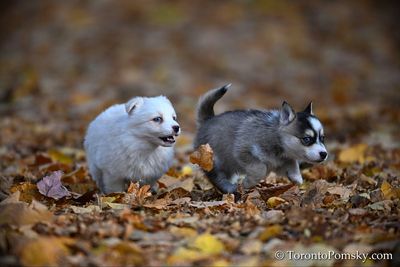 Nov14_22_412.jpg