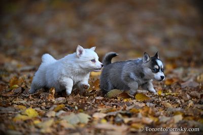 Nov14_22_414.jpg