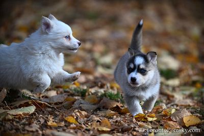 Nov14_22_415.jpg