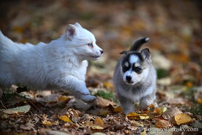 Nov14_22_416.jpg