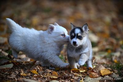 Nov14_22_417.jpg