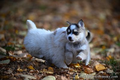 Nov14_22_418.jpg