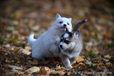 Nov14_22_419.jpg