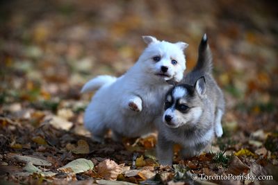 Nov14_22_420.jpg
