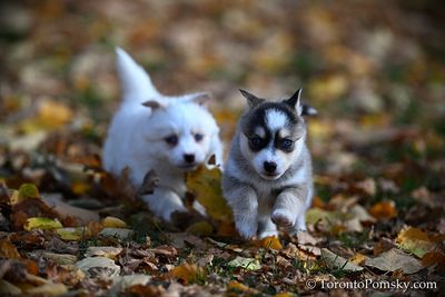 Nov14_22_422.jpg