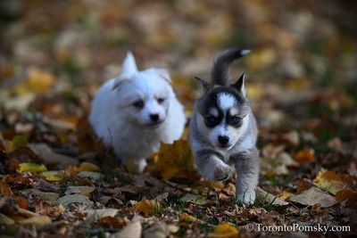 Nov14_22_423.jpg