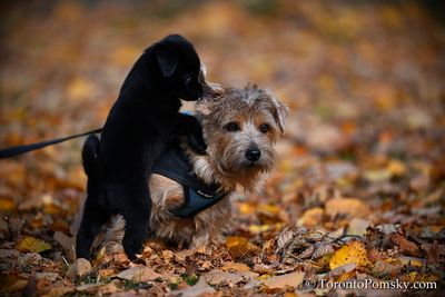 Nov14_22_424.JPG