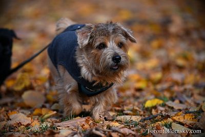 Nov14_22_425.jpg