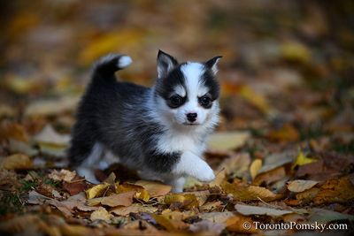 Nov14_22_426.jpg