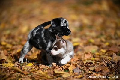Nov14_22_428.jpg