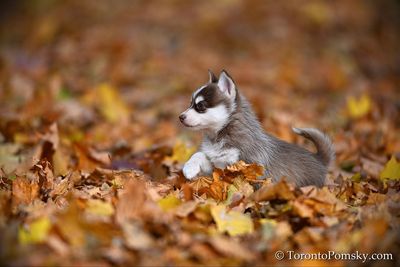 Nov14_22_298.jpg