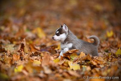 Nov14_22_299.jpg
