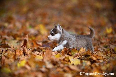 Nov14_22_300.jpg