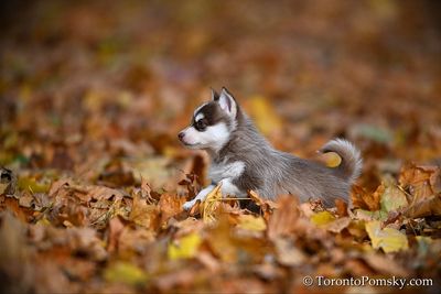Nov14_22_301.jpg