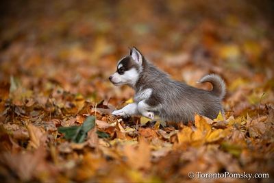 Nov14_22_302.jpg