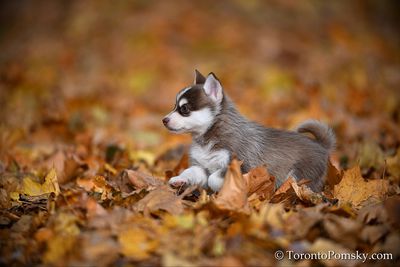Nov14_22_304.jpg